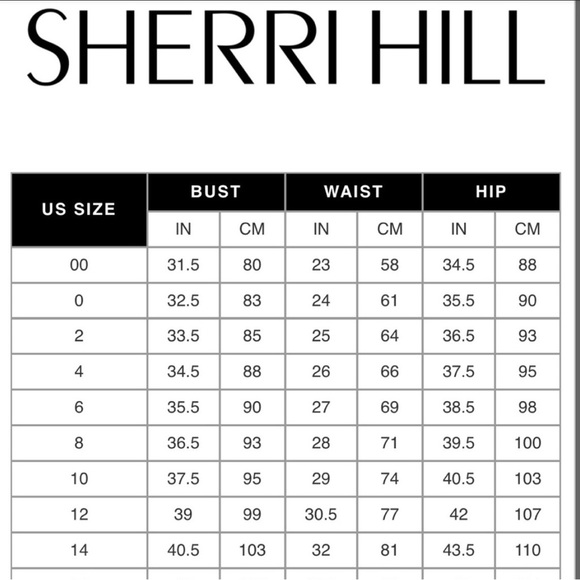 *STORE CLOSING CLEARANCE* NWT Sherri Hill Cocktail 👗 - Picture 3 of 3